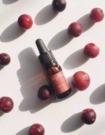 Serum product surrounded with Camu Camu ingredients
